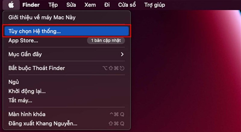 Nhấn vào biểu tượng quả táo, sau đó chọn Tùy chọn hệ thống 