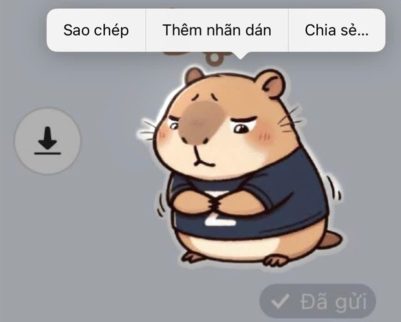 Nhấn và giữ vào sticker cho đến khi màn hình xuất hiện tùy chọn “Thêm nhãn dán”